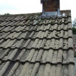 Moss under chimney 2