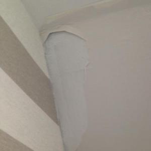 Valsparpaint problems