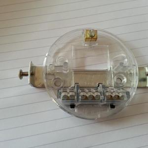 support bar behind new rose