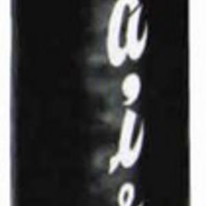 6ft Banana kick/punch bag