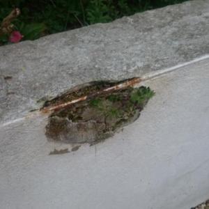 garden wall. Rusty edge