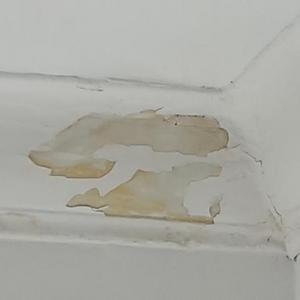 Coving Damage