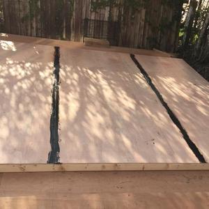 First shed wall done