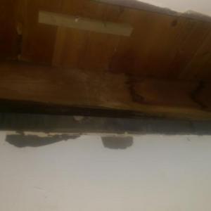 Side of wet joist