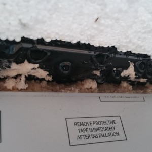 DSC_0002_zpsa1aay5kk