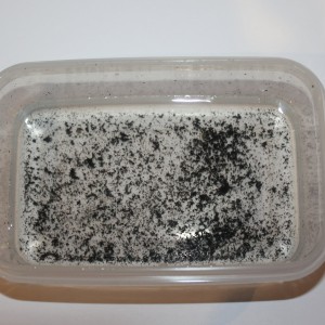 Black Particles - Small