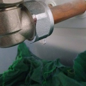 12675119_10153936322526410_278826686_o