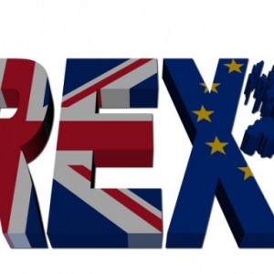 Brexit-referendum-fotolia-_-Stephen-Finn-1024x382