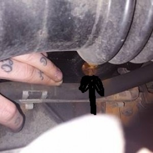 12782316_10205358746600125_944910961_n