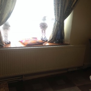 ^2467844B55063F63F4571D4D71105F1DAE8487E979A81BE029^pimgpsh_fullsize_distr