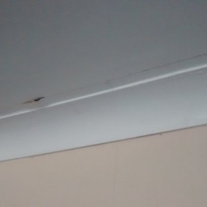 IMG_20160313_164456896[1]