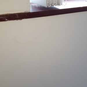 Stain Coming Through 1