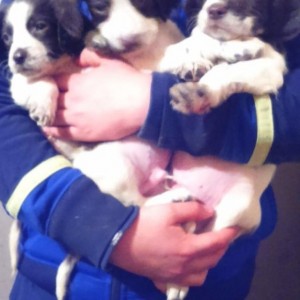 25256970-663-640x1138