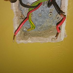 13112445_10156838432155471_961224227_o