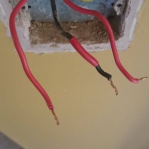 13113176_10156838442355471_897102980_o