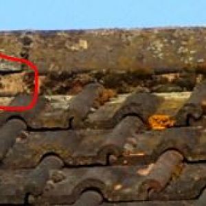 Hole Below Ridge Tile In Line With Leak