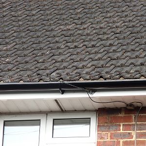 bottom row of tiels_3