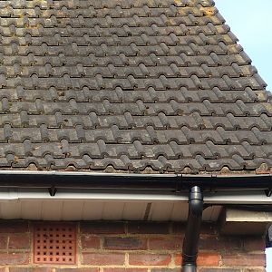 bottom row of tiles_2