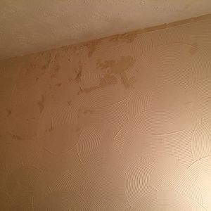 Damp On landing MARCH 15TH 2016