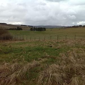 Our view to the West.