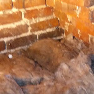 16118488_10154416198779895_602538578_n