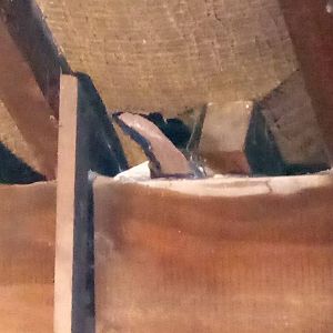 16176160_10154416198814895_1276313433_n