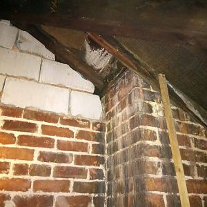 16128201_10154416198944895_244024601_n