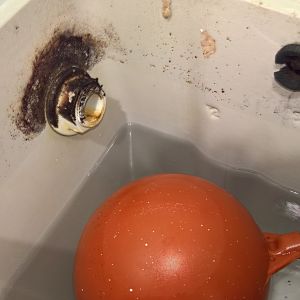 WP_20170210_20_55_43_Rich