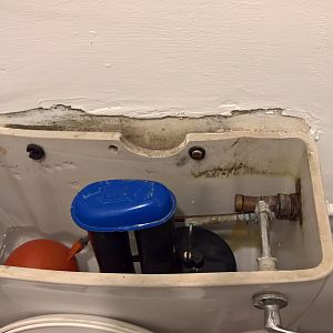 WP_20170210_20_11_53_Rich