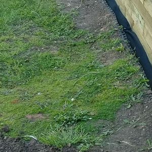 IMG_20170523_170256_01