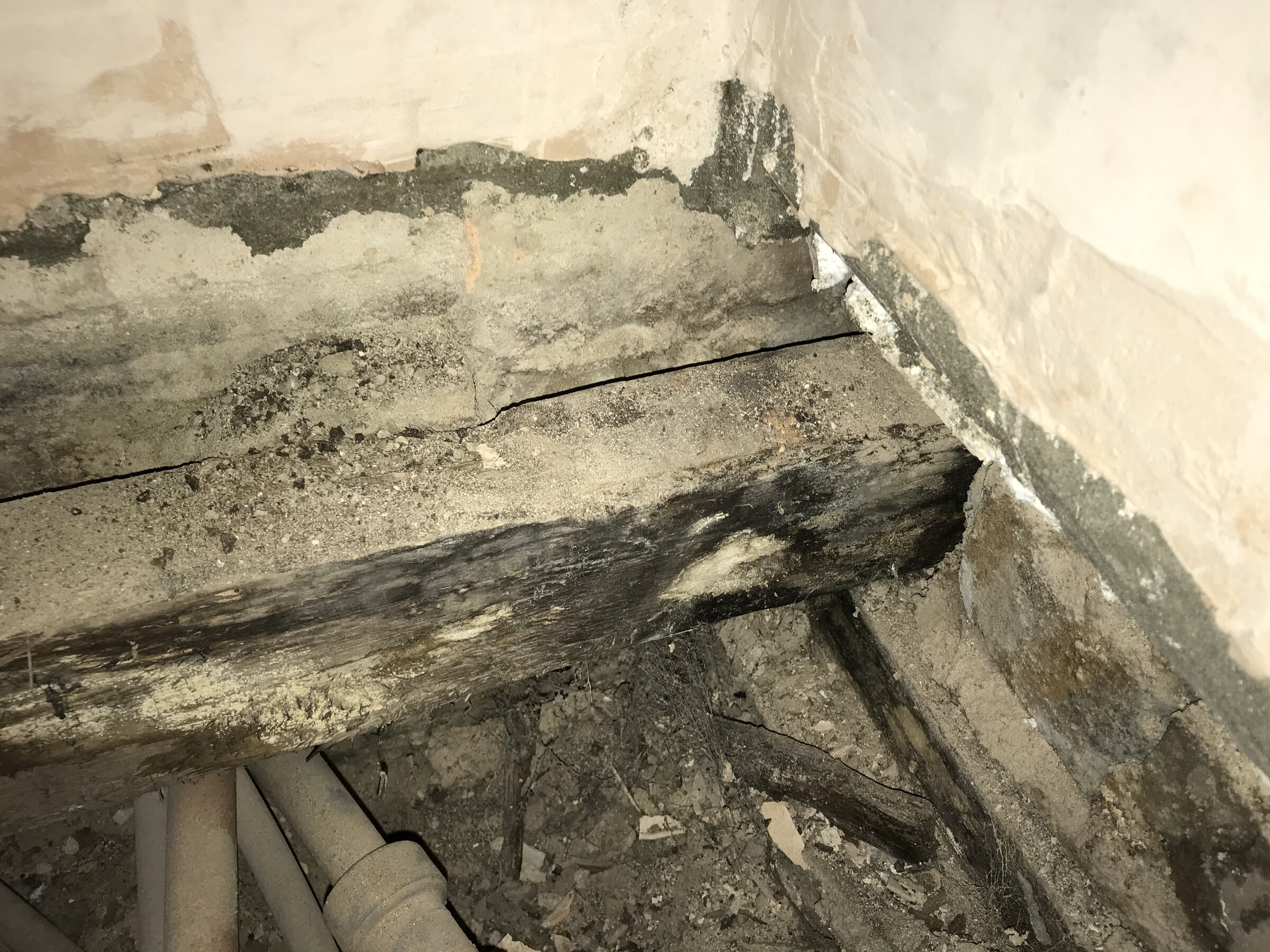 01084608-3CB0-4388-A17B-215FCD9C42D4