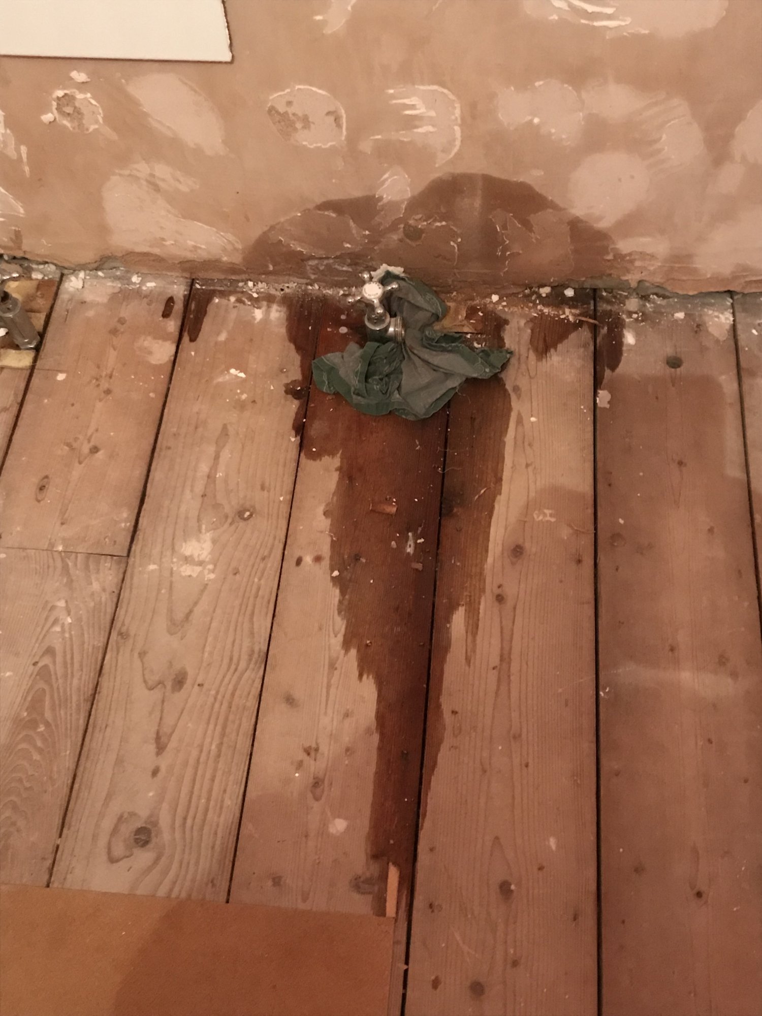 03B5515D-DE0F-4345-92E4-F09CA2AFBC9F