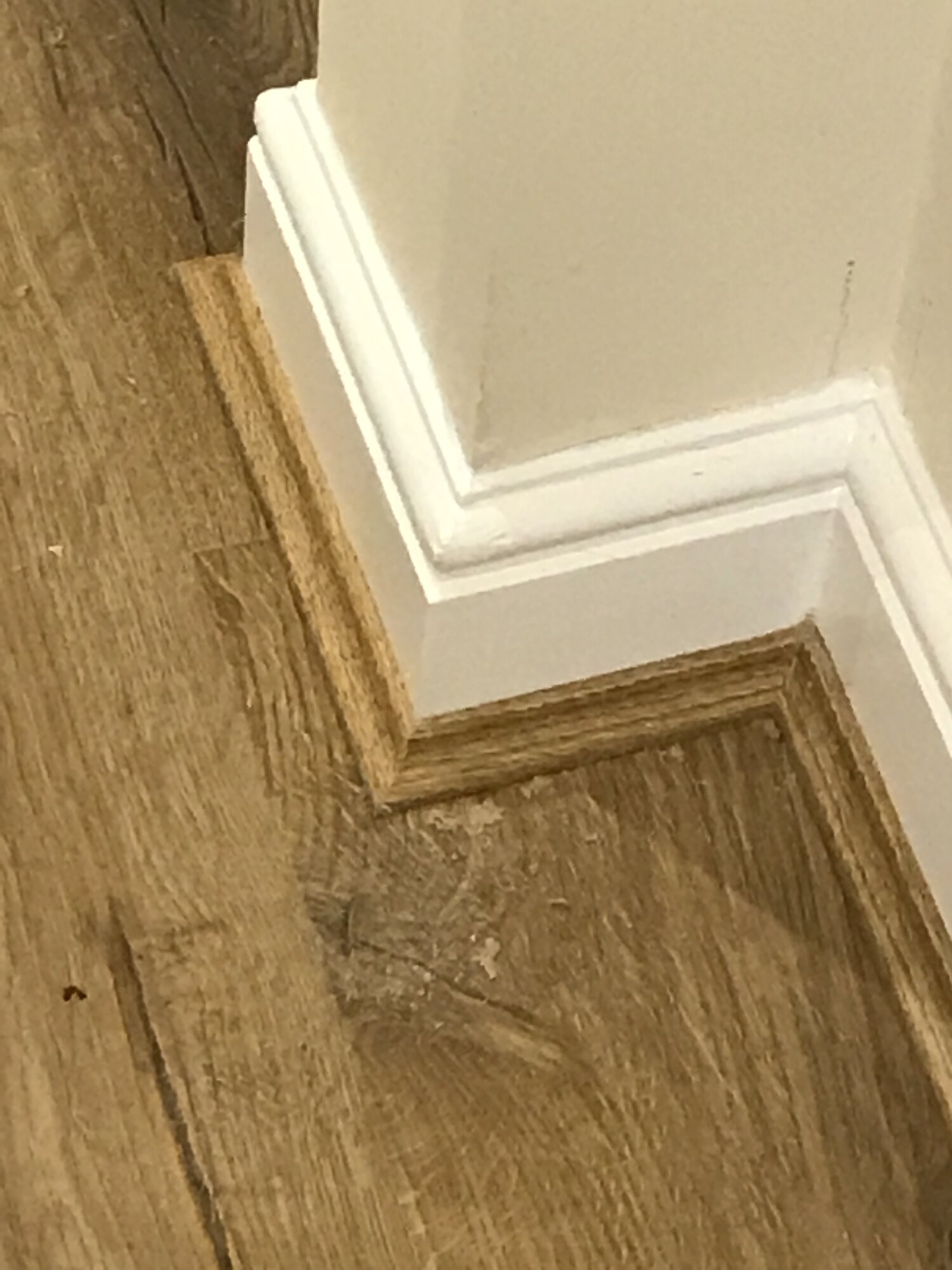 04EC5F4B-E3C1-4DEA-9DE4-CE2FC2730187