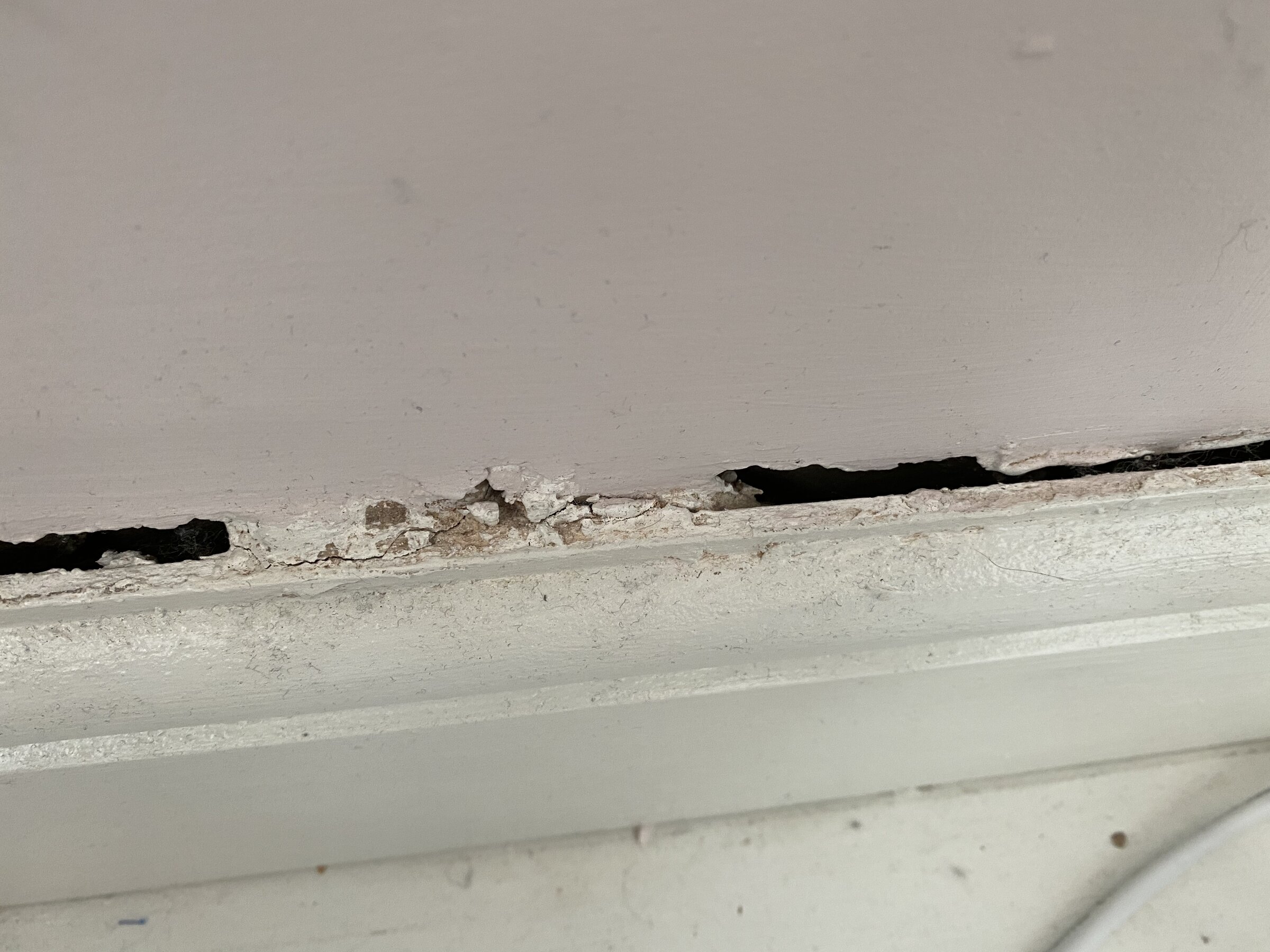 07B73BB5-5FF9-492D-9A98-26788F5761BF