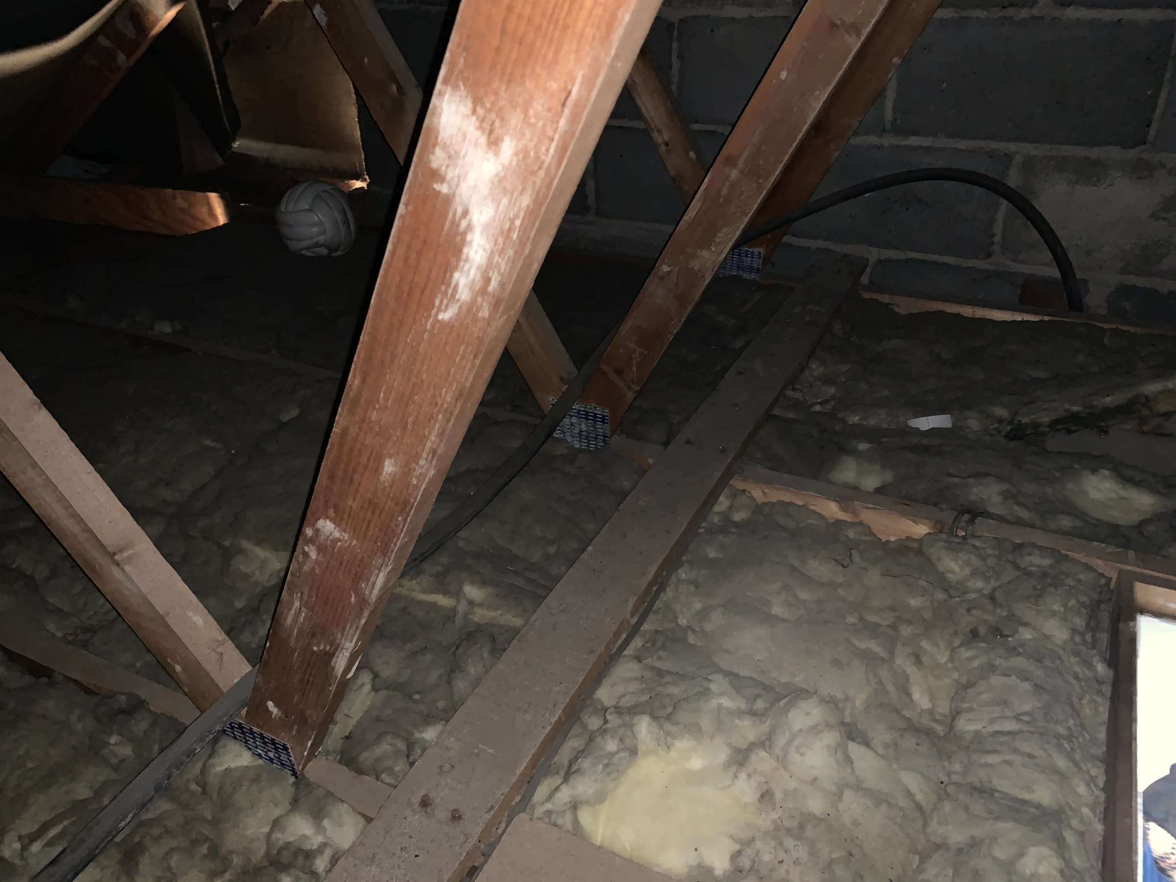 08F0741C-9DD5-47EC-B86F-EC1226F79514