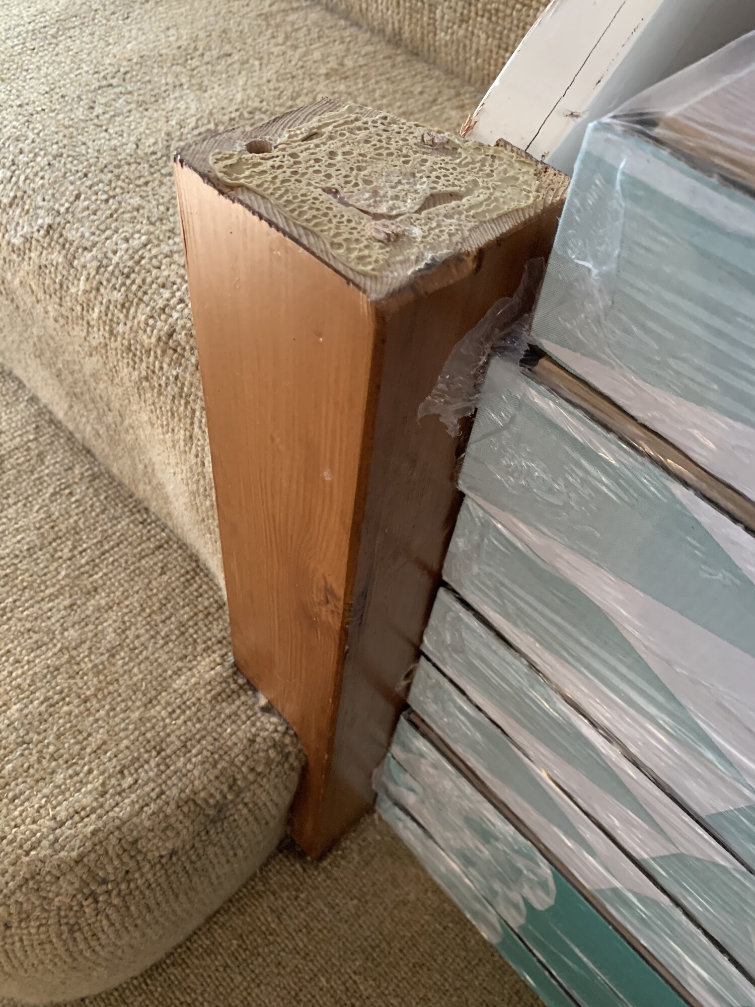 0E32441B-71EB-4480-9679-F5915A59CF7A