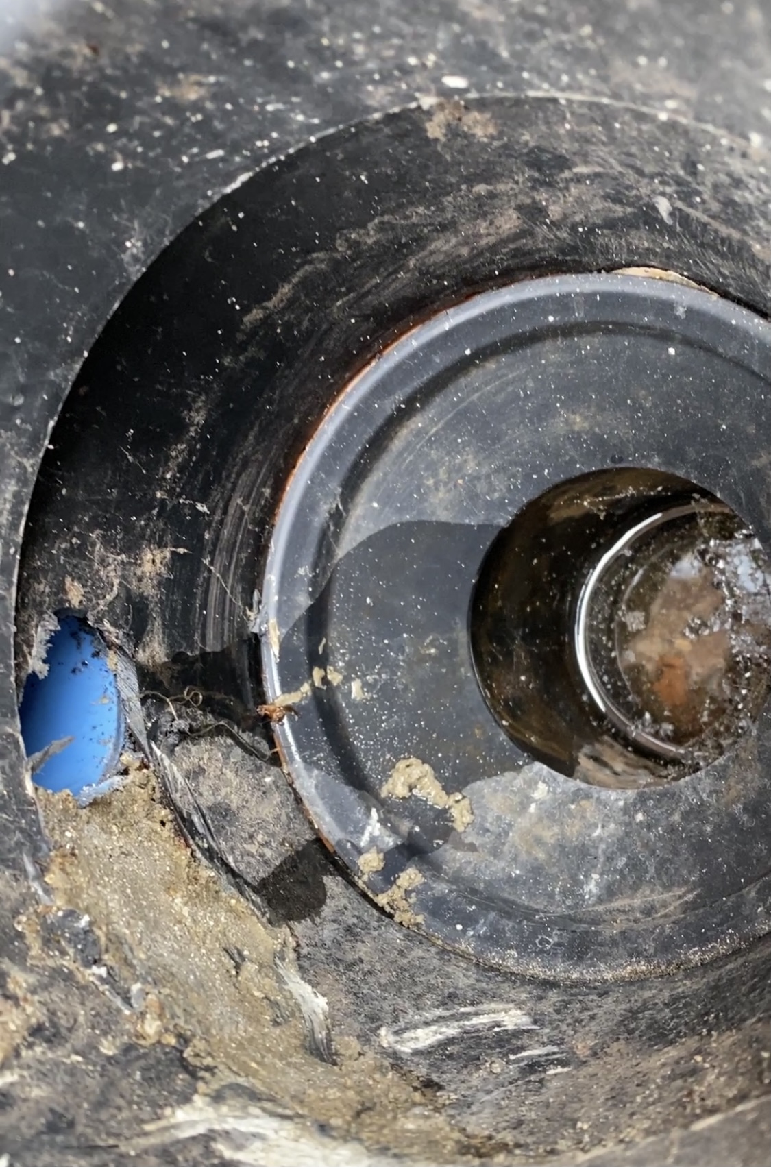 1121A8D4-CF10-4413-9A5E-EB814F1EA673