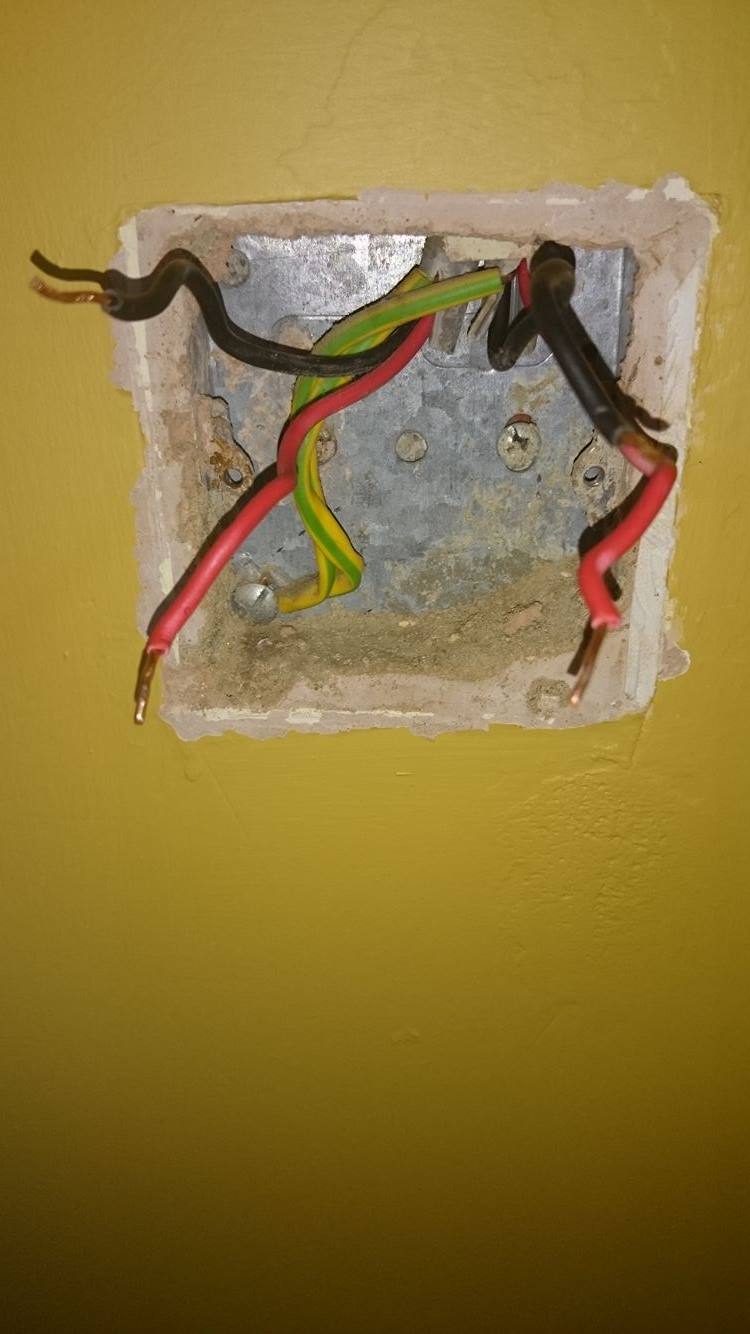 13112445_10156838432155471_961224227_o