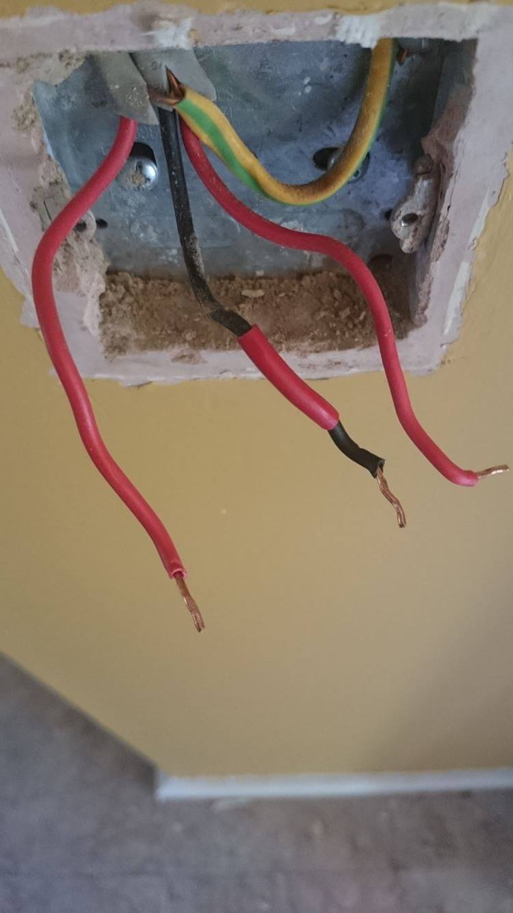 13113176_10156838442355471_897102980_o