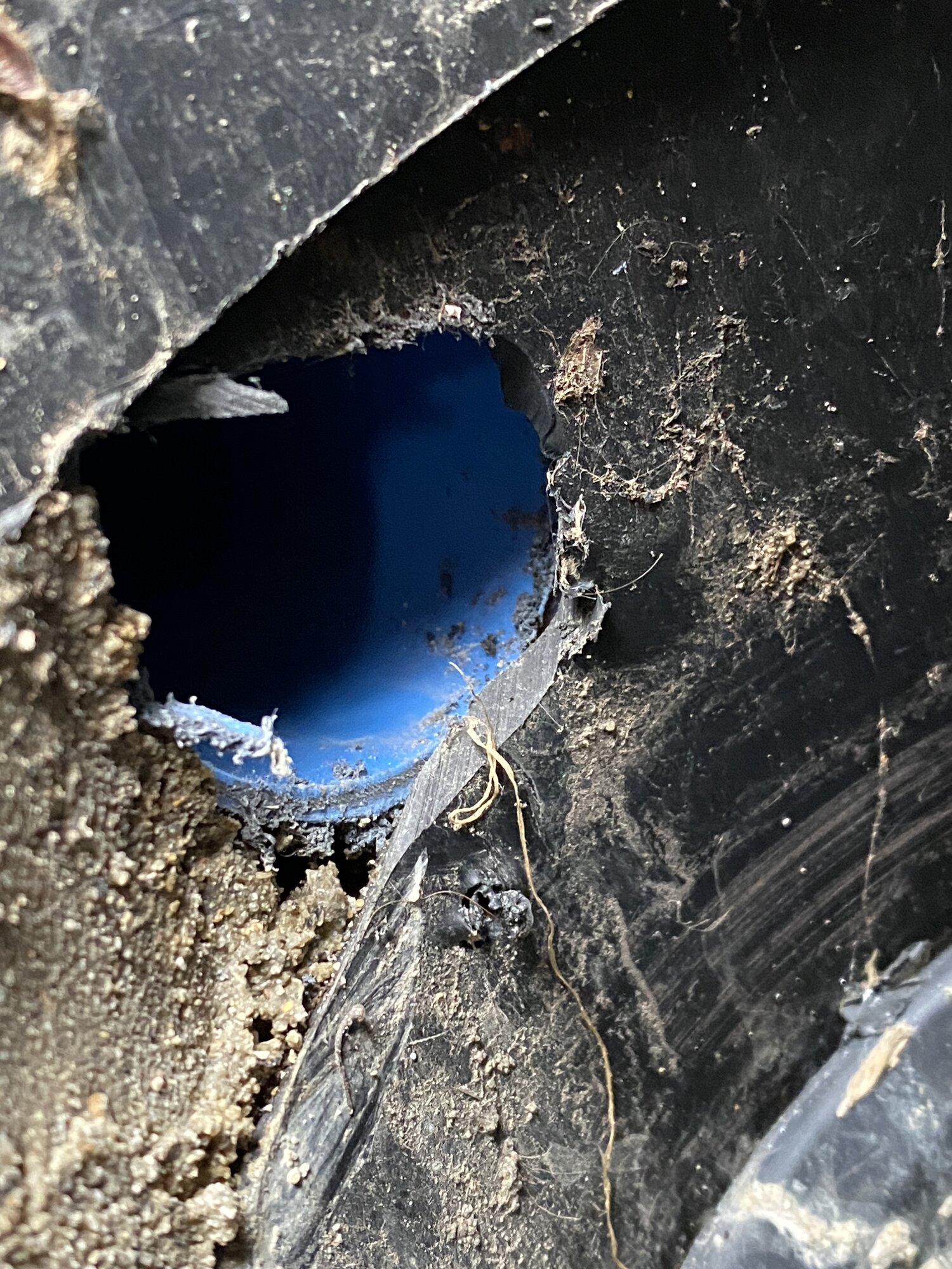 14F1891F-328D-4DA6-99C4-A3A58552CDD8