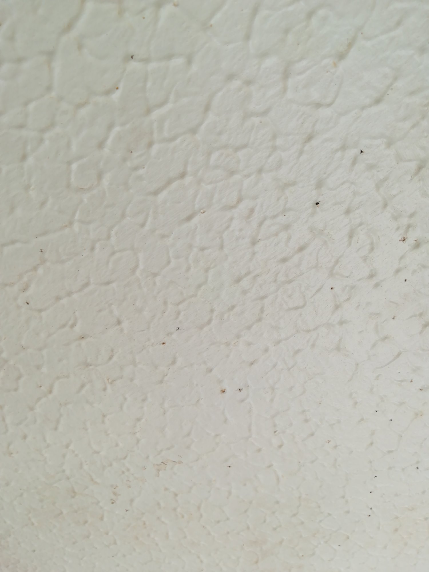 15556872080641192234247