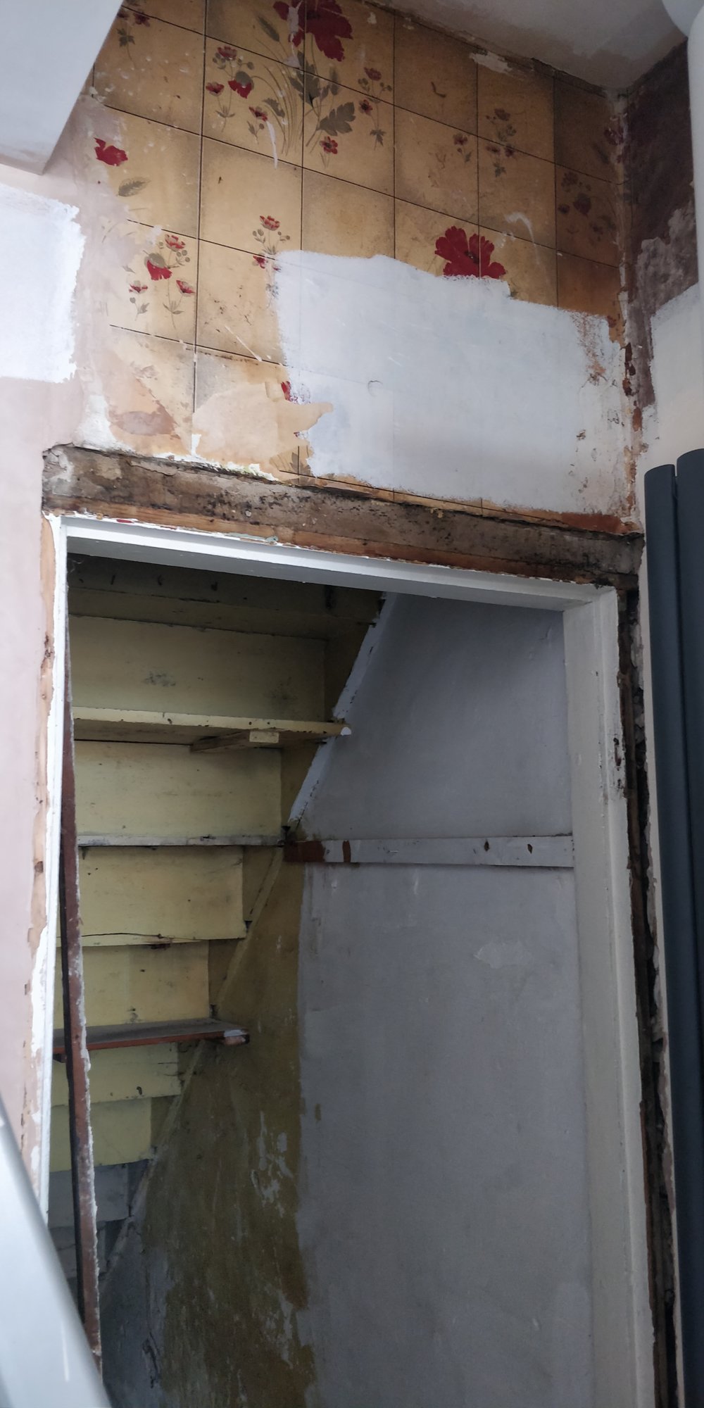 15621631654737329901848212793171