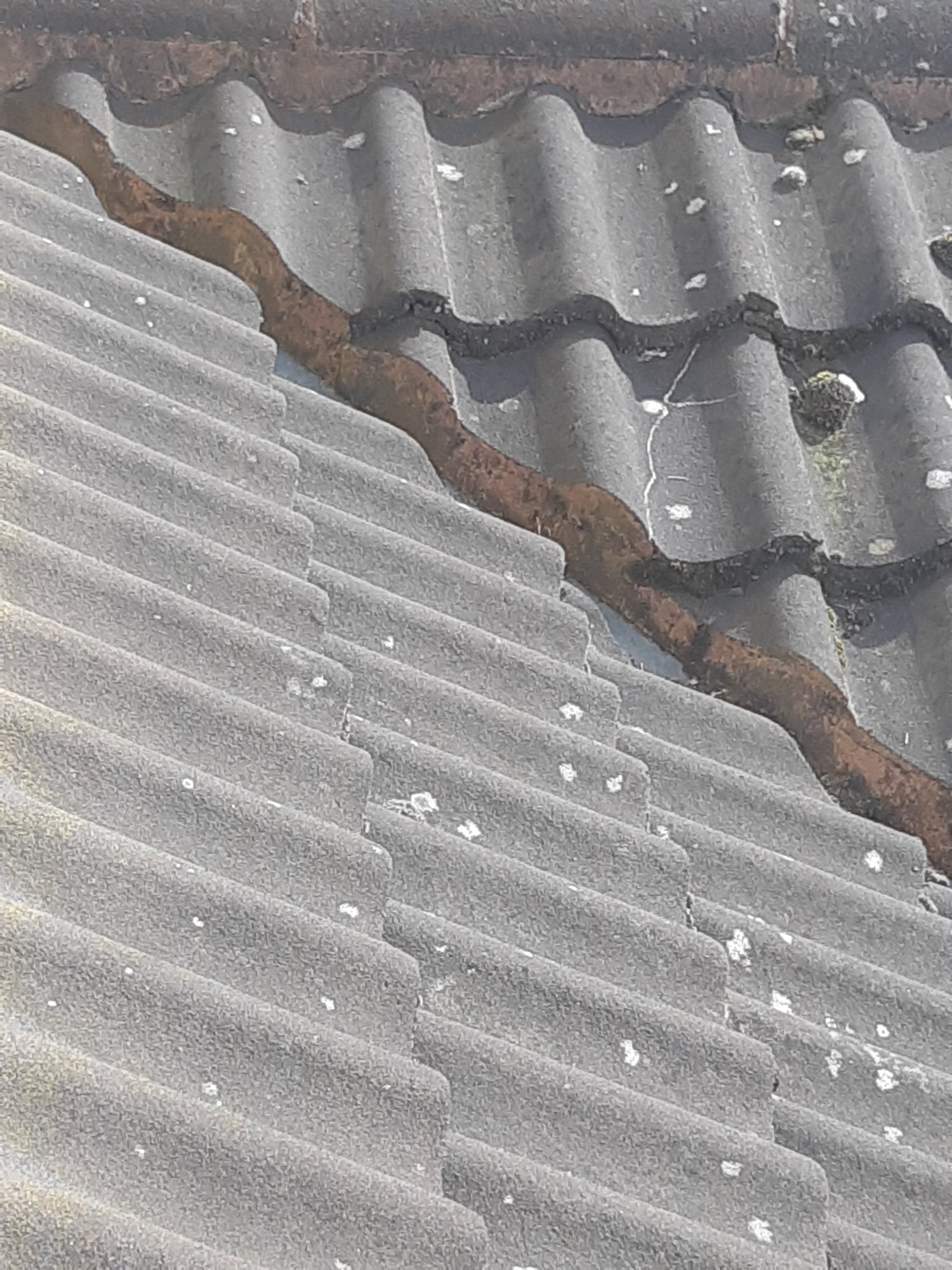 1587048133498601192565