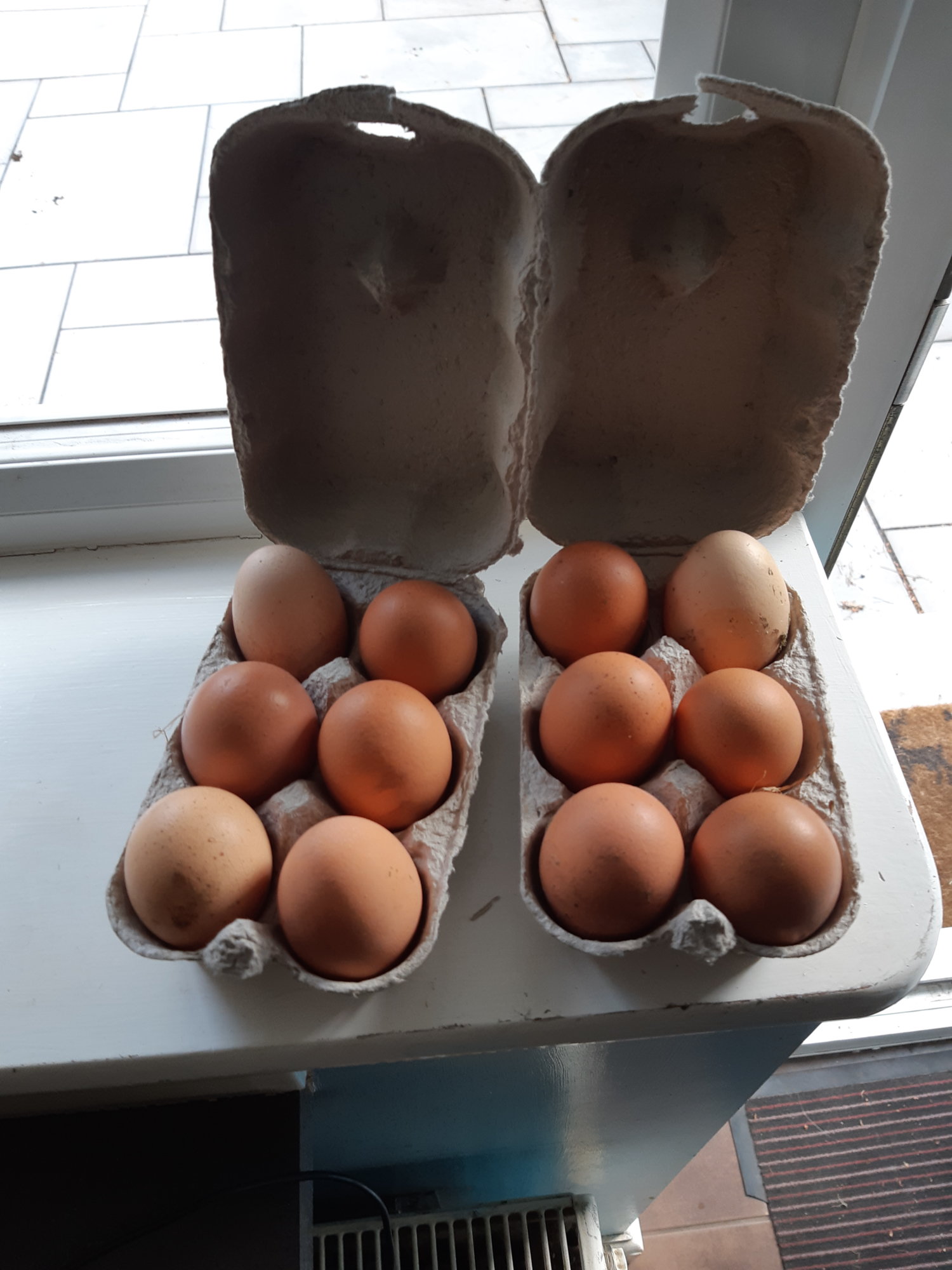 15884125436011513545560