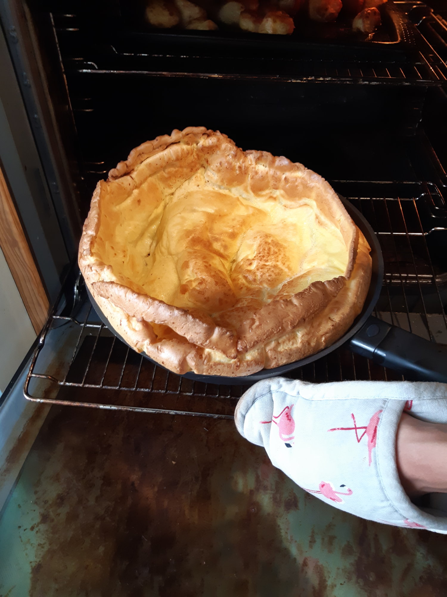 15903364437951325979566