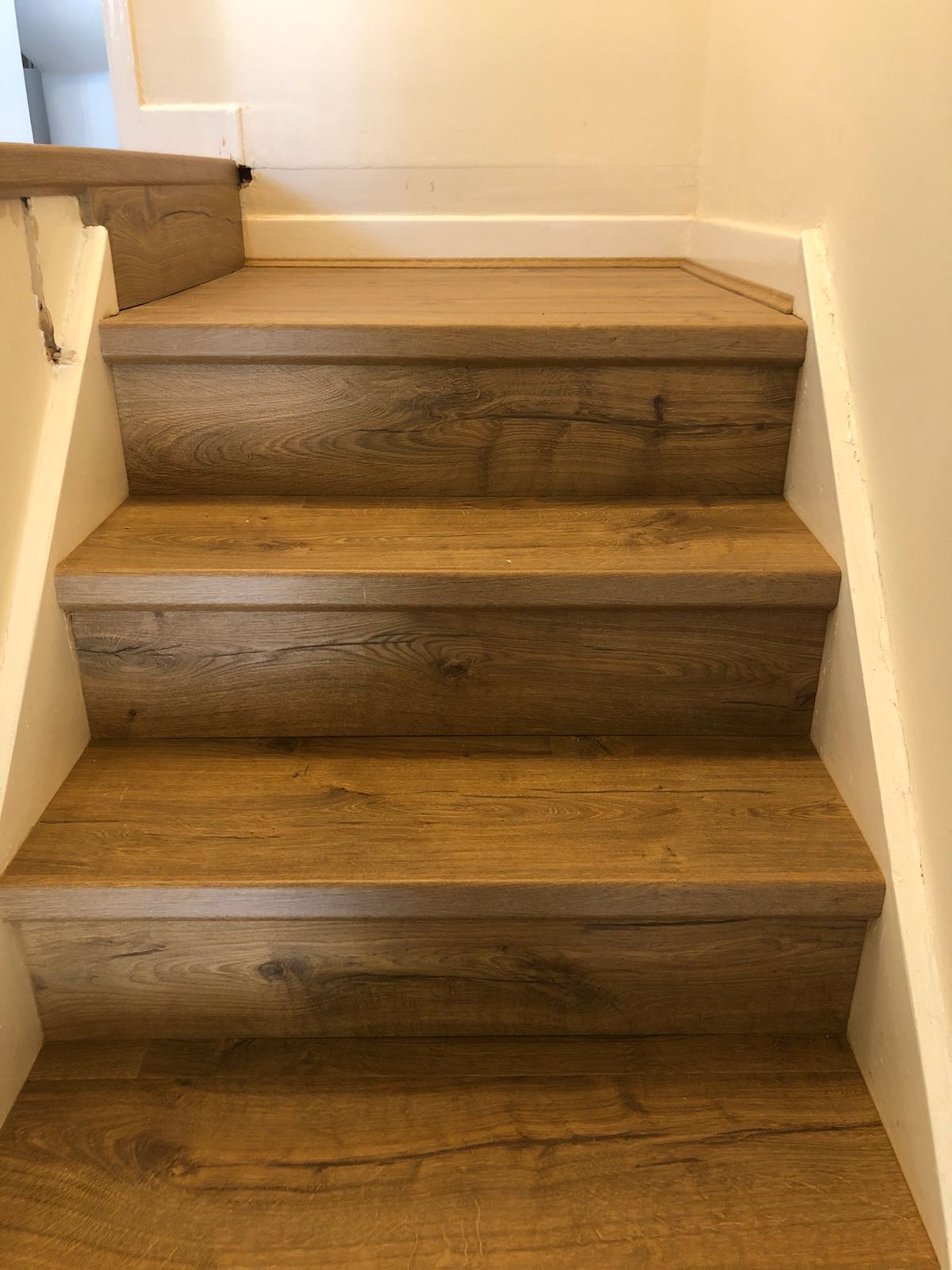 1821FCCF-5D57-4B2F-9813-82898DD37CAE