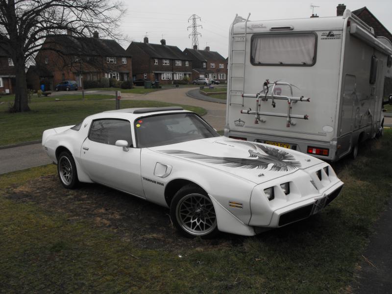1980 pontiac firebird , transam