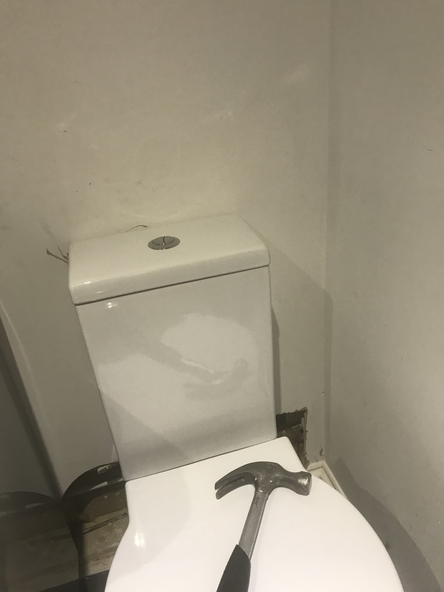 1B2A1C3A-B684-4588-9669-68EB7095AE11