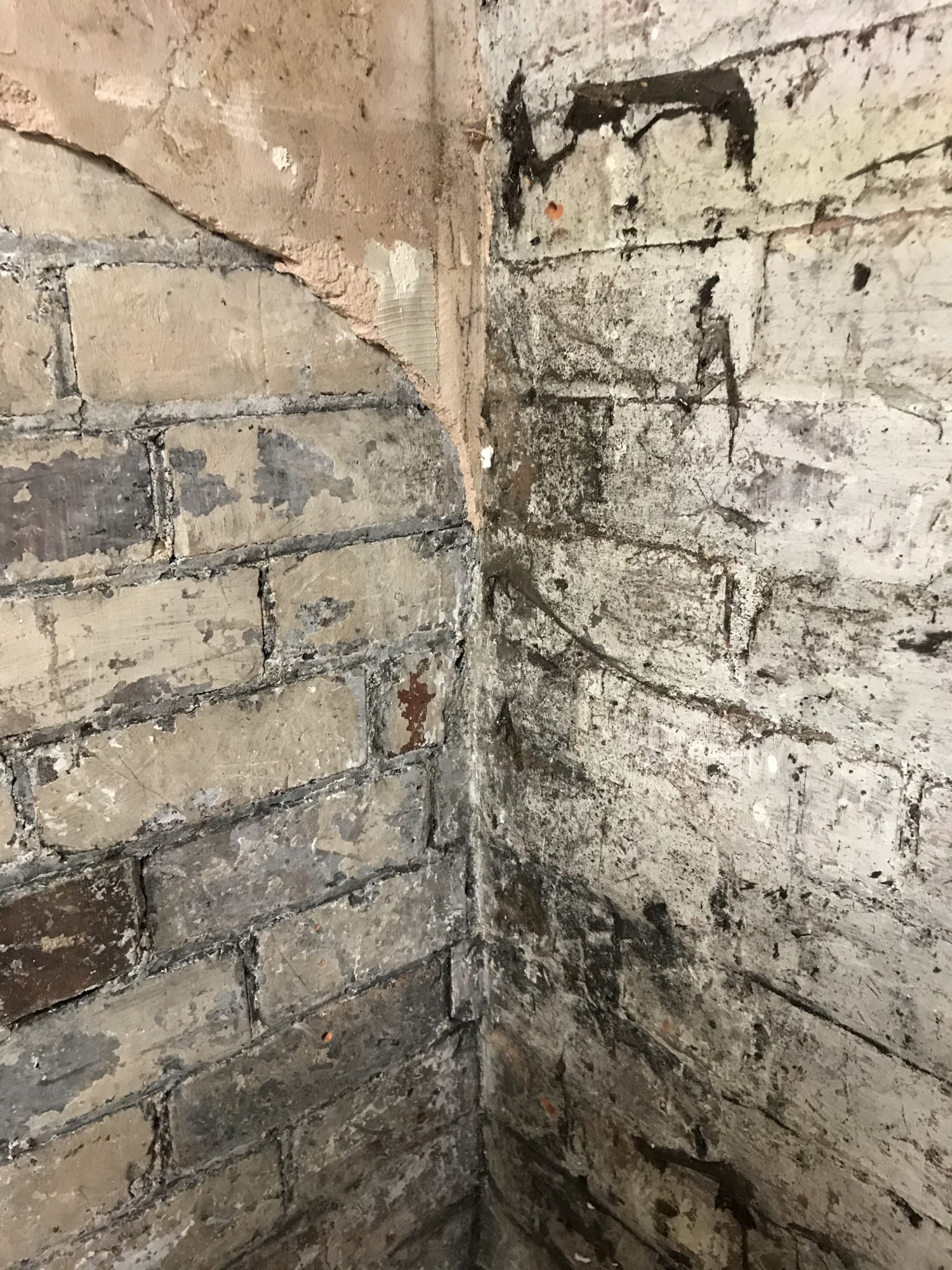 1DFB4243-236A-4194-8BB5-8079890DD952