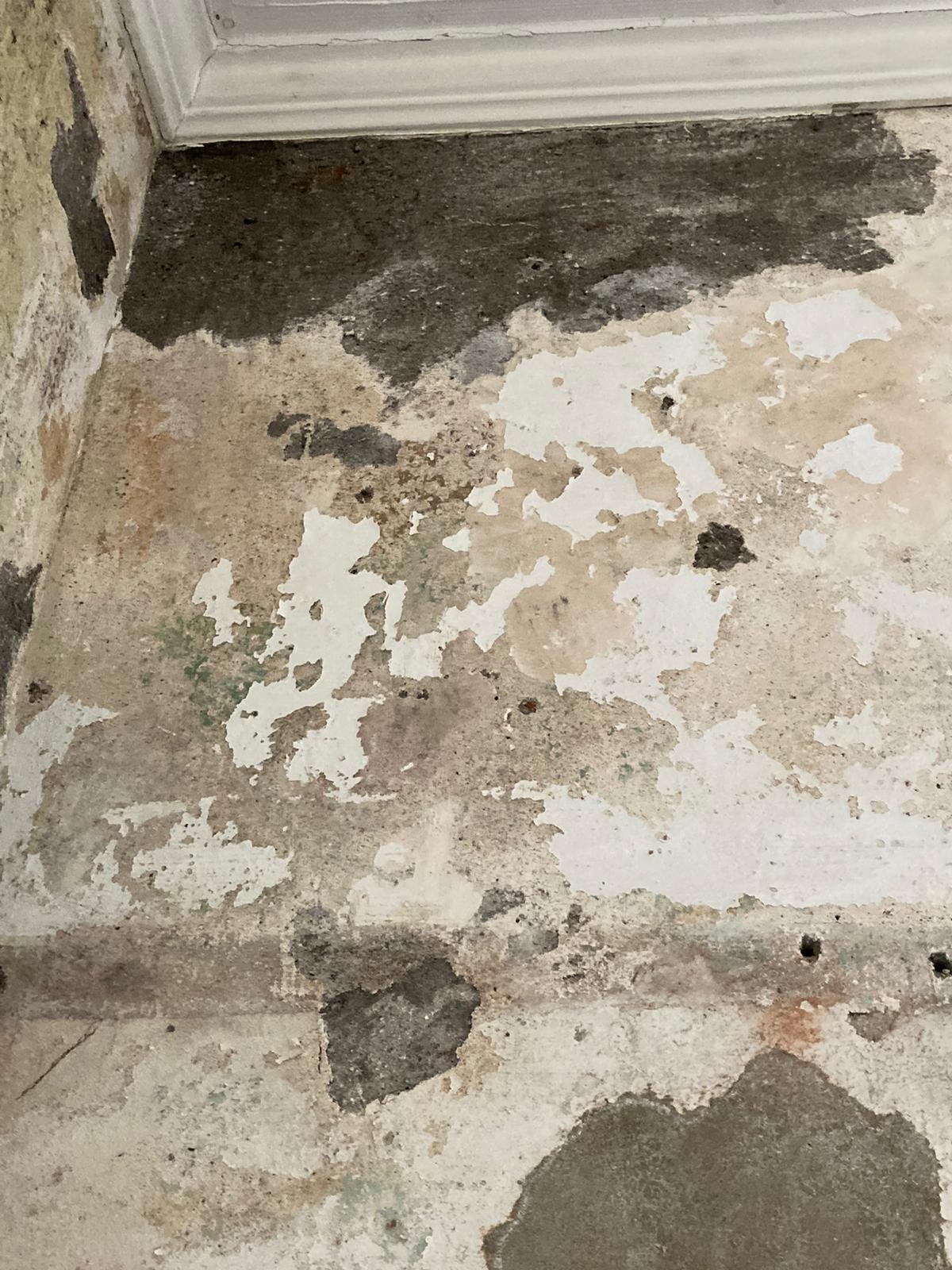 1E59A097-8605-4B0C-B910-BB4E565A40BD